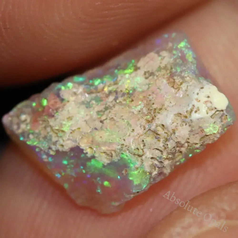 2.81 Cts Australian Opal Rough Lightning Ridge Wood Fossil Polished Specimen