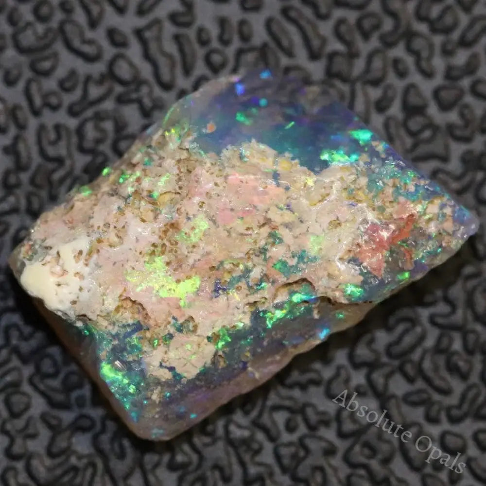 opal fossils