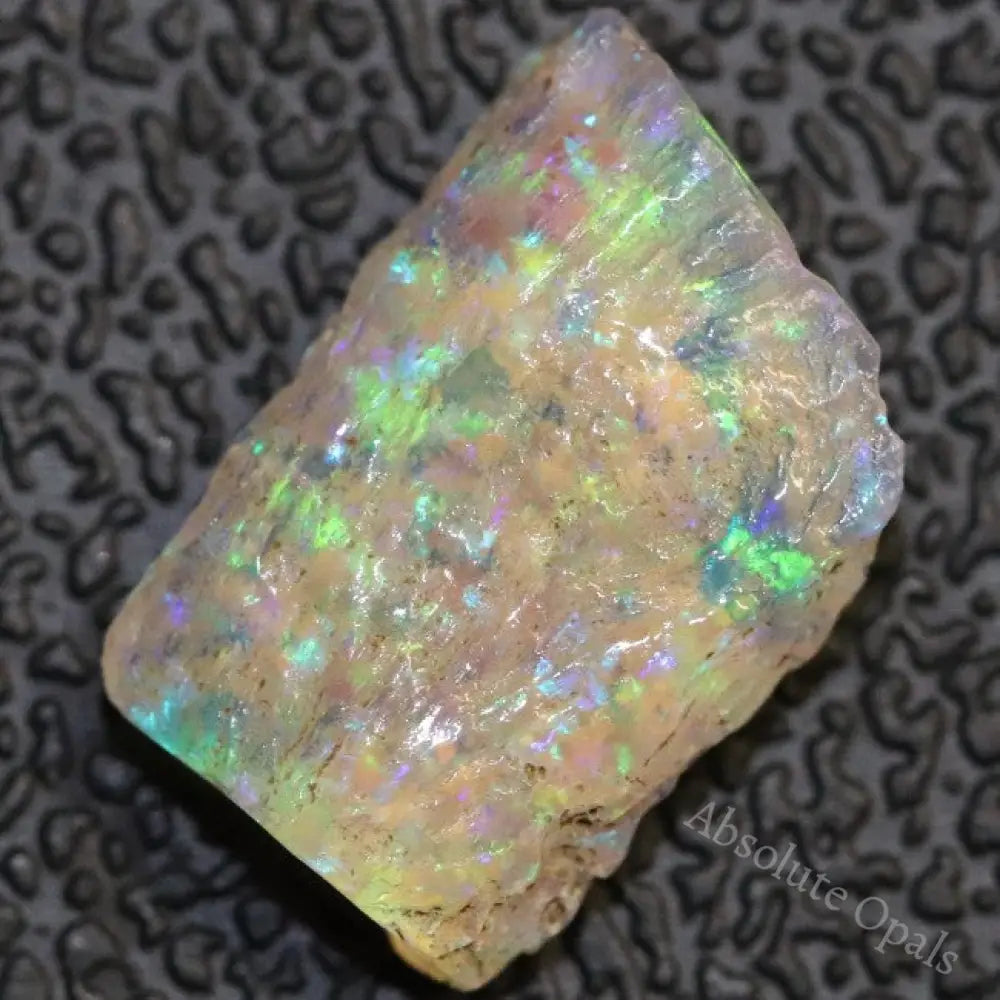 2.81 Cts Australian Opal Rough Lightning Ridge Wood Fossil Polished Specimen