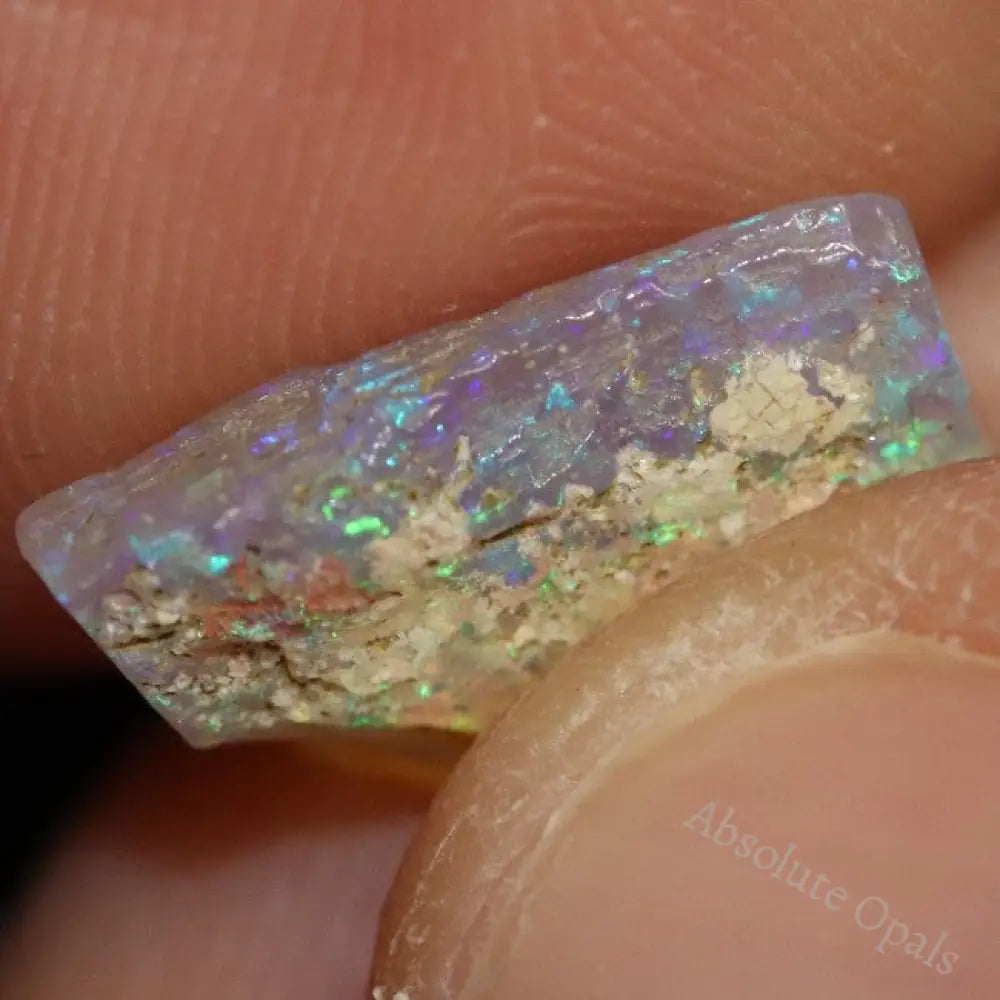 2.81 Cts Australian Opal Rough Lightning Ridge Wood Fossil Polished Specimen