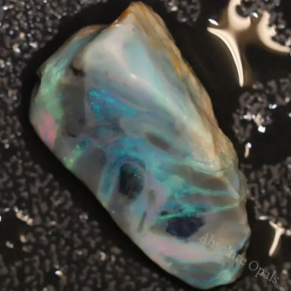 21.65 Cts Australian Lightning Ridge Opal Rough For Carving