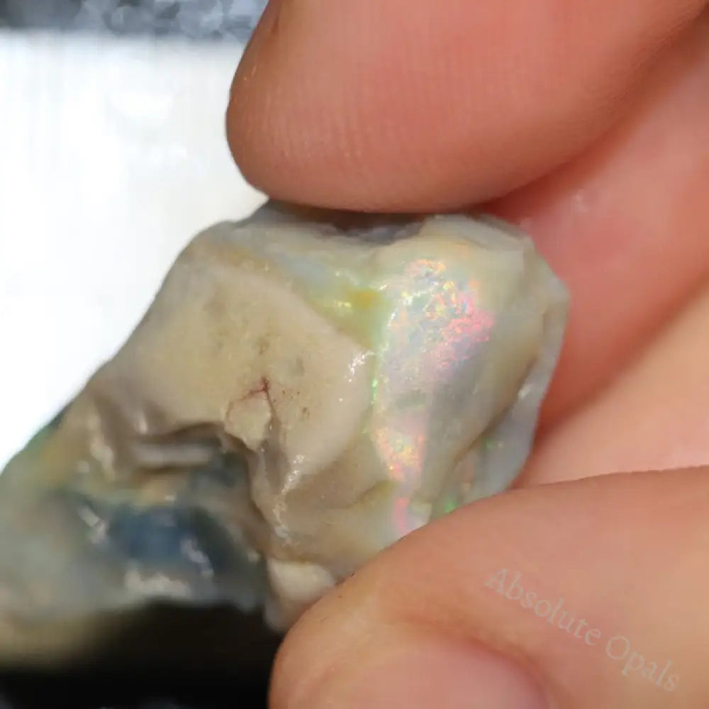 21.80 Cts Australian Lightning Ridge Opal Rough For Carving