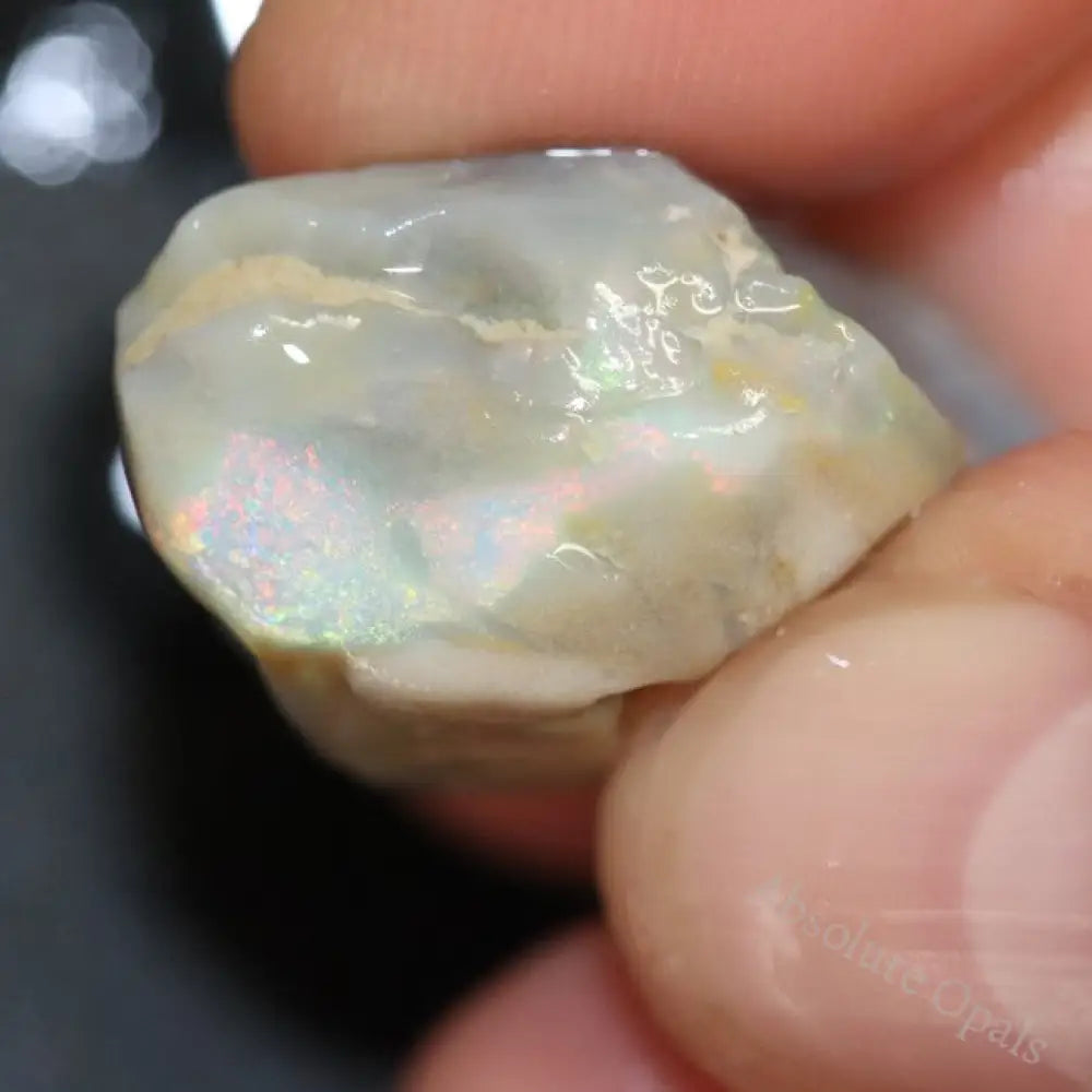 21.80 Cts Australian Lightning Ridge Opal Rough For Carving