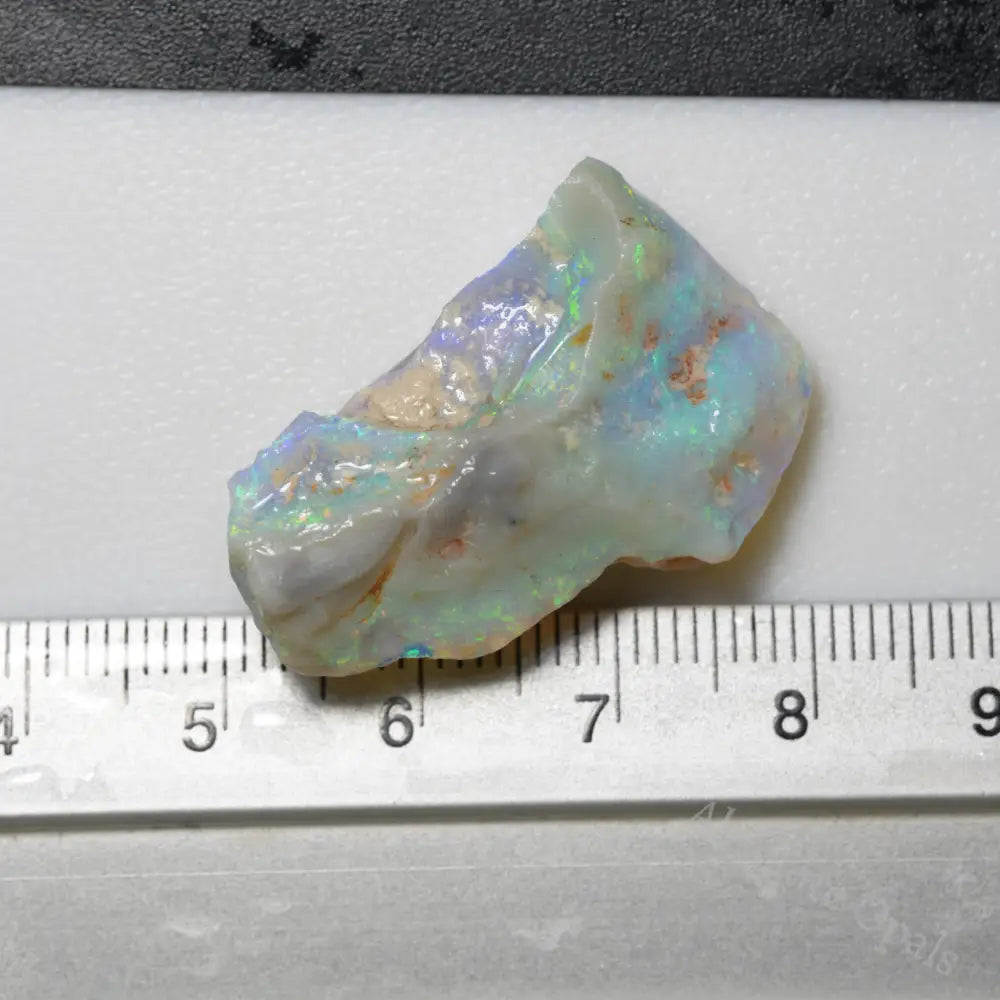 22.9 cts Rough Opal Lightning Ridge for Carving