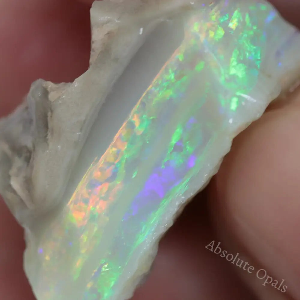 Single Opal Rough