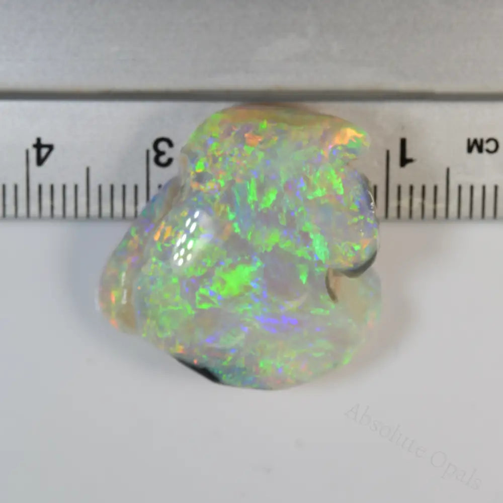 Rough Australian Opal