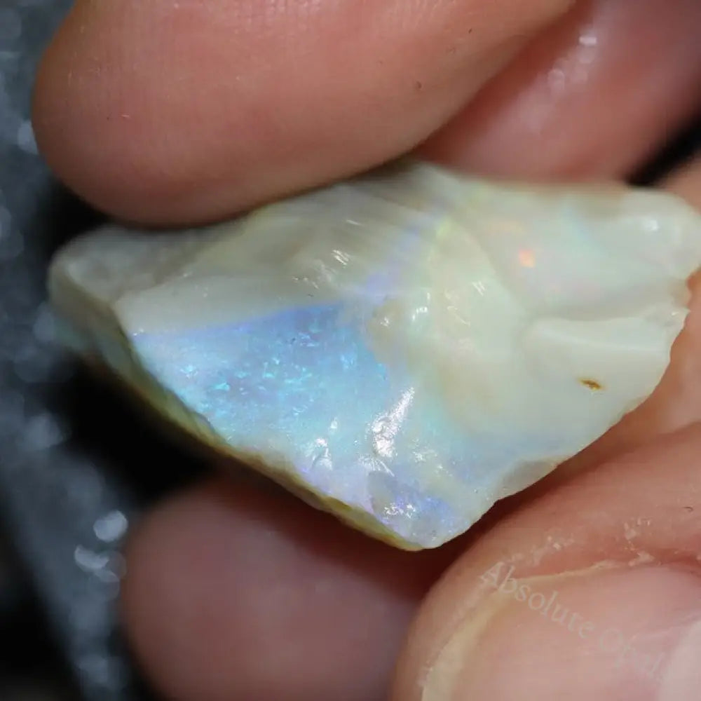 24.25 Cts Australian Lightning Ridge Opal Rough For Carving