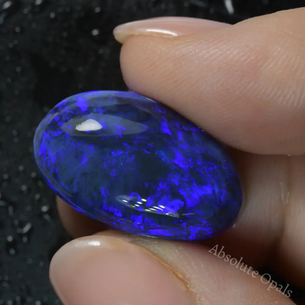 Black Opal