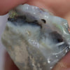 25.35 Cts Australian Lightning Ridge Opal Rough For Carving