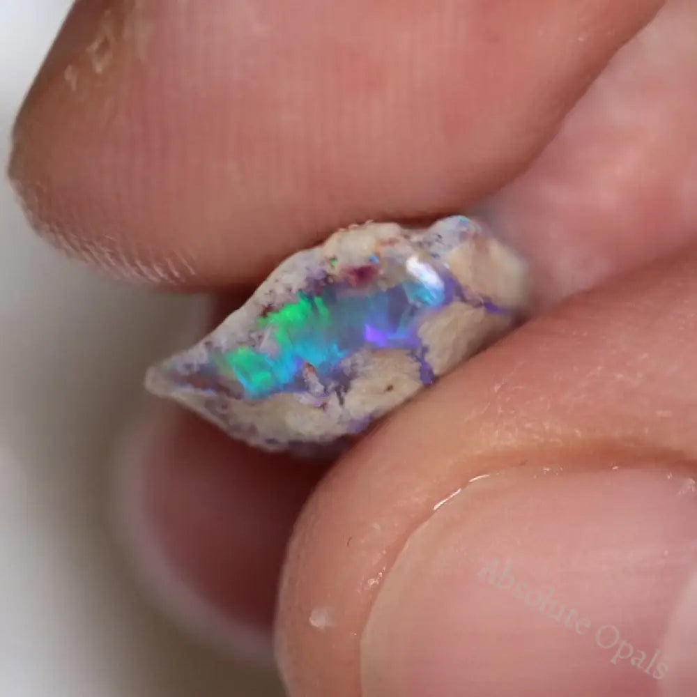 25.70 Cts Australian Opal Rough Parcel Lightning Ridge- Fossils