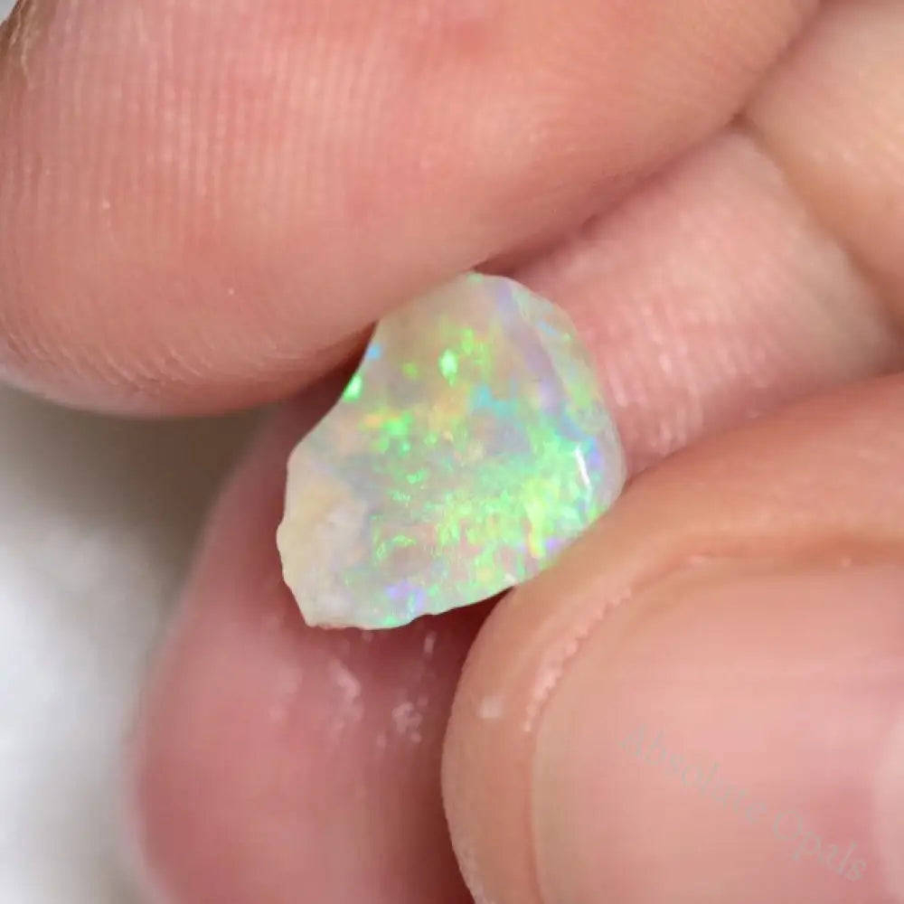 25.70 Cts Australian Opal Rough Parcel Lightning Ridge- Fossils