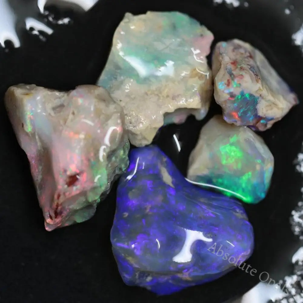 25.70 Cts Australian Opal Rough Parcel Lightning Ridge- Fossils