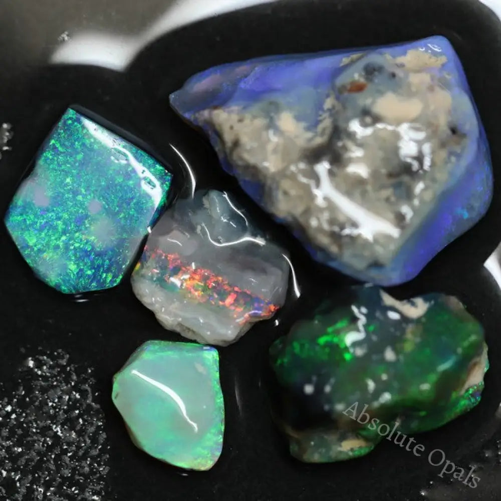 25.75 Cts Australian Lightning Ridge Rough Opal Parcel