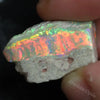 Australian, Semi Black Opal Rough, Lightning Ridge, Gem Stone