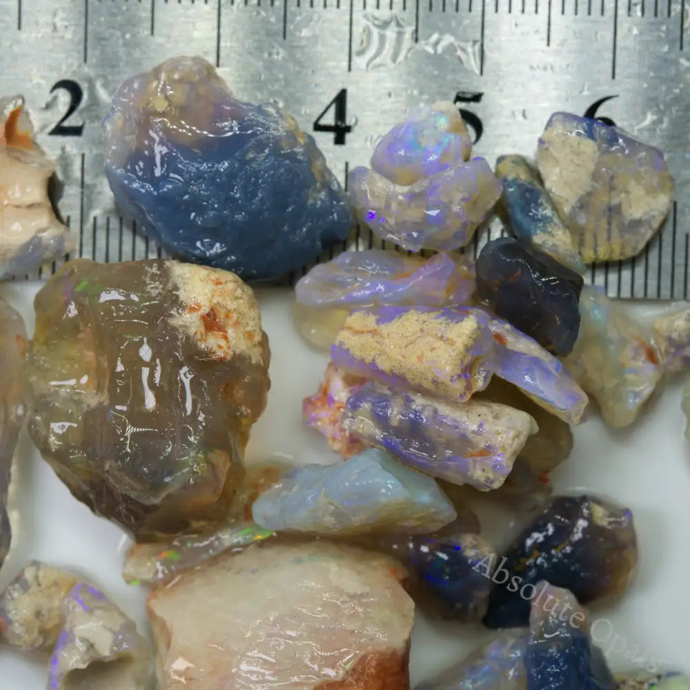  Australian Rough Fossil Opal Collection Lightning Ridge