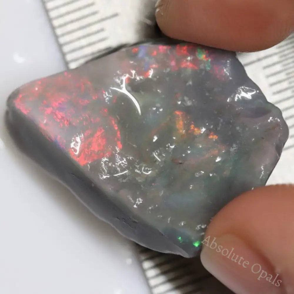 26.0 Cts Australian Lightning Ridge Black Opal Rough For Carving