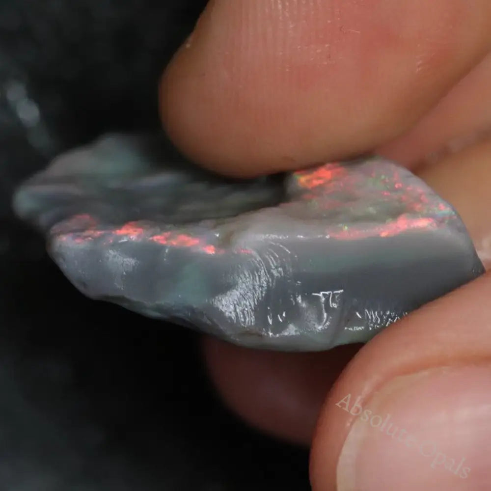 26.0 Cts Australian Lightning Ridge Black Opal Rough For Carving