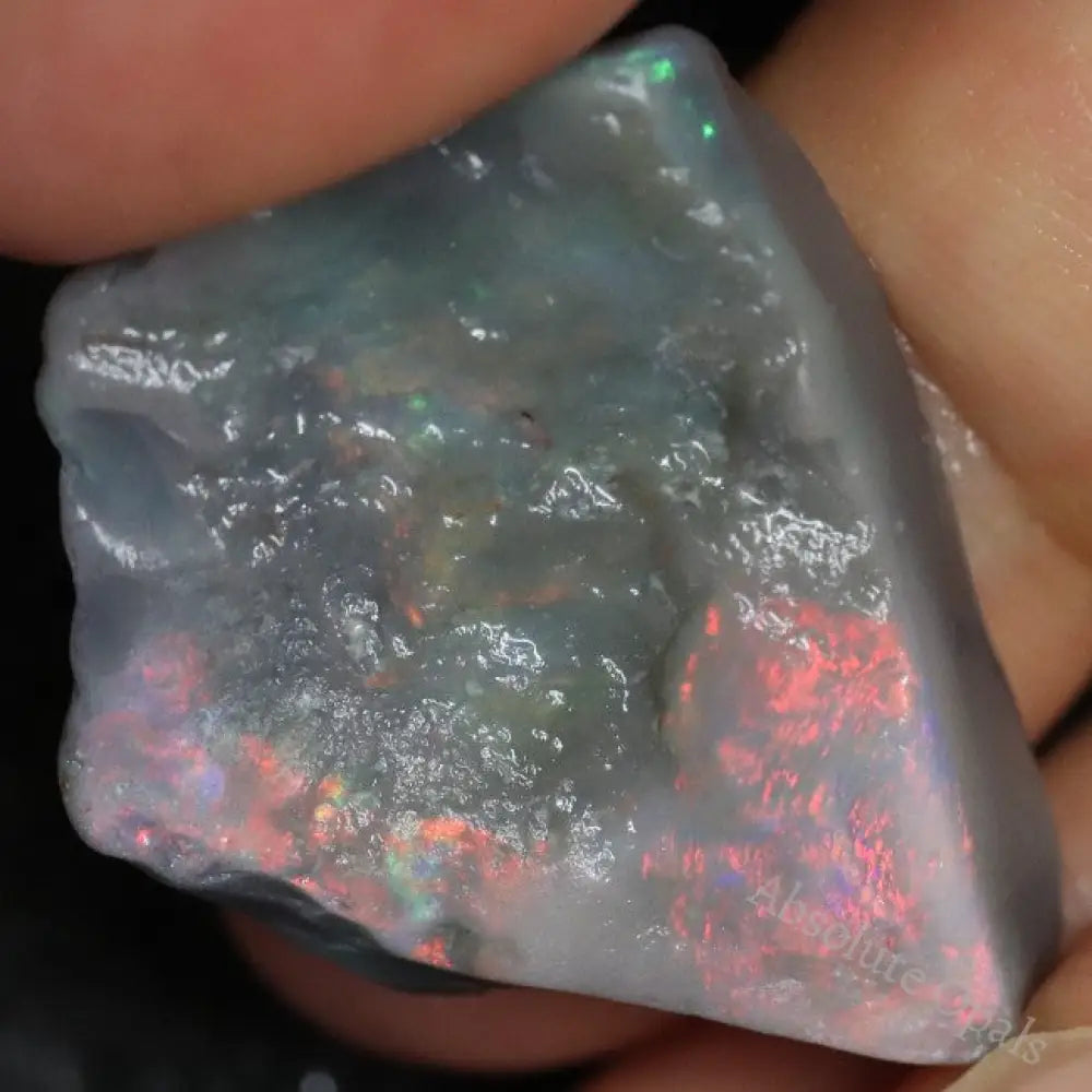 26.0 Cts Australian Lightning Ridge Black Opal Rough For Carving