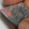 26.0 Cts Australian Lightning Ridge Black Opal Rough For Carving