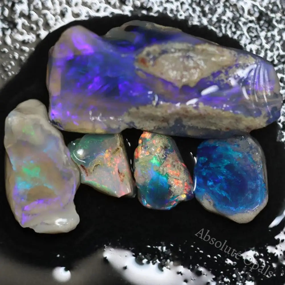 27.25 Cts Australian Opal Rough Parcel Fossils Lightning Ridge