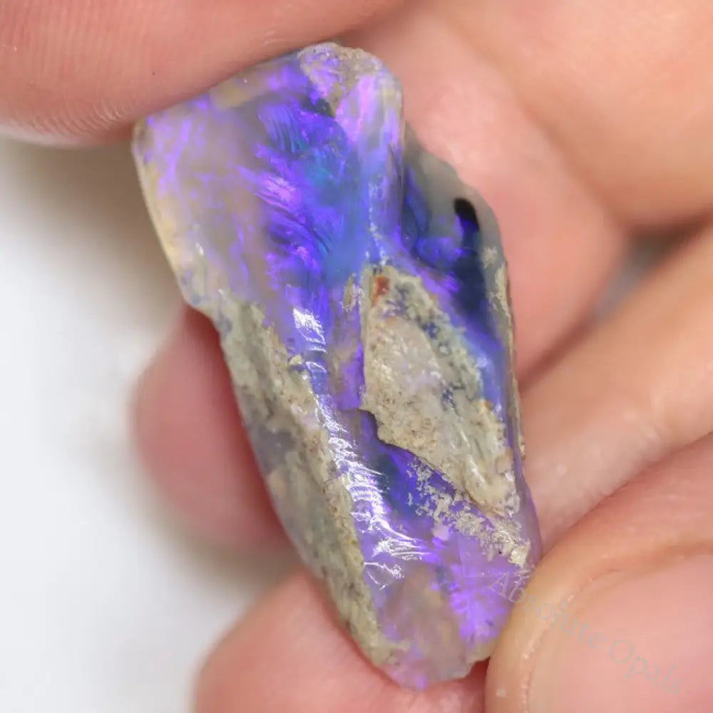 27.25 Cts Australian Opal Rough Parcel Fossils Lightning Ridge