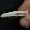 27.80 Cts Australian Lightning Ridge Light Opal Rough Gem Stone