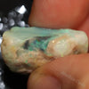 27.80 Cts Australian Lightning Ridge Opal Rough For Carving