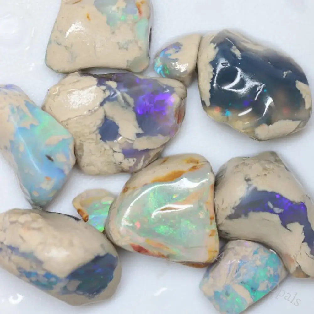 271.0 Cts Australian Lightning Ridge Rough Opal Parcel