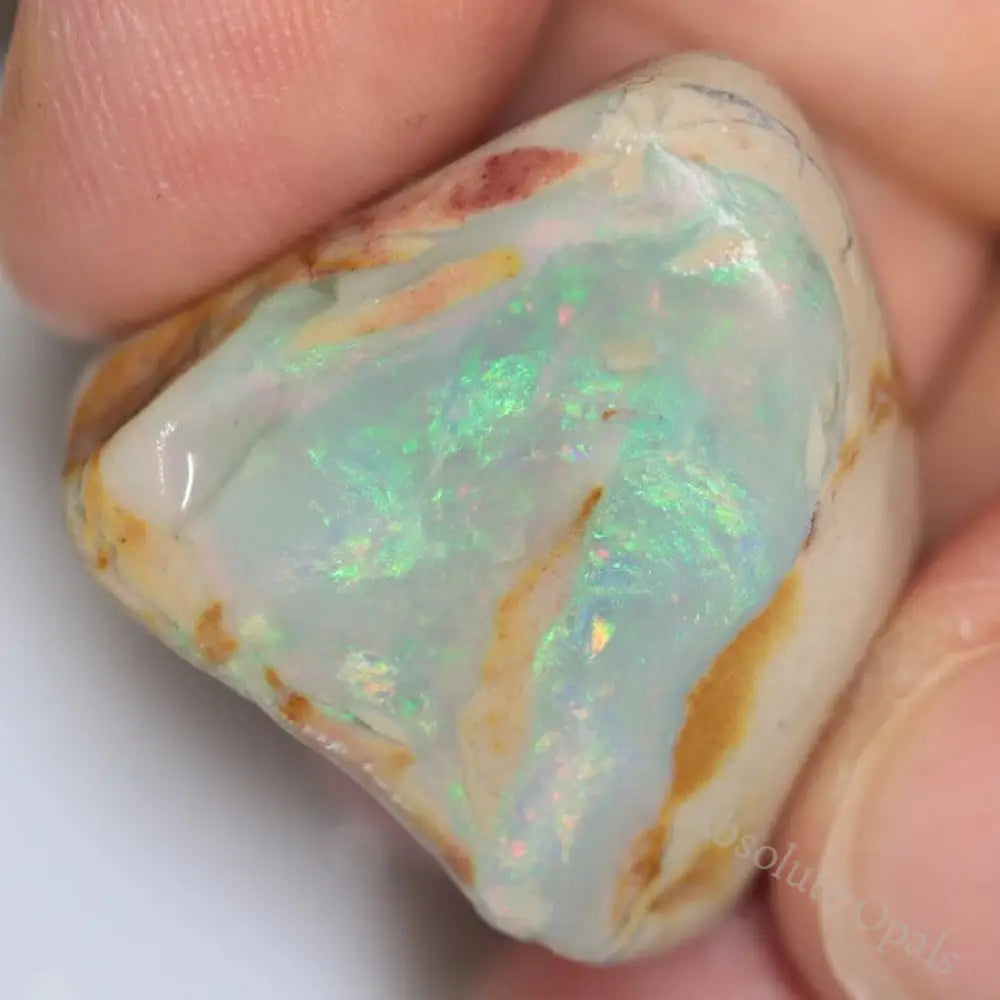 271.0 Cts Australian Lightning Ridge Rough Opal Parcel