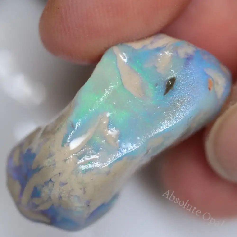 271.0 Cts Australian Lightning Ridge Rough Opal Parcel