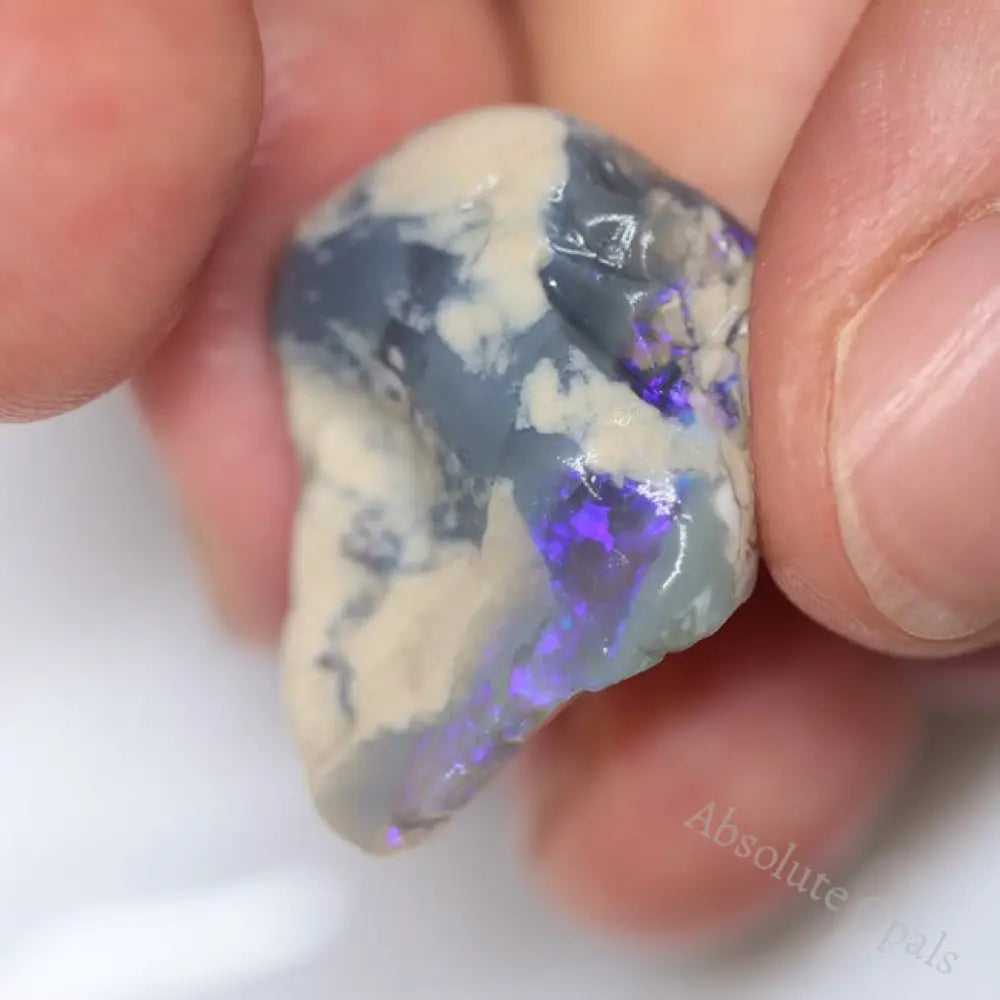 275.80 Cts Australian Lightning Ridge Rough Opal Parcel