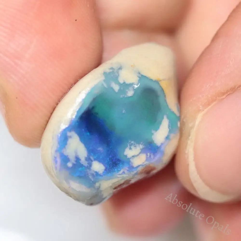 275.80 Cts Australian Lightning Ridge Rough Opal Parcel