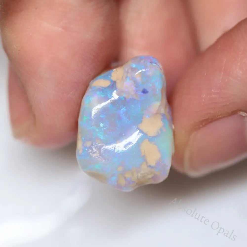 275.80 Cts Australian Lightning Ridge Rough Opal Parcel