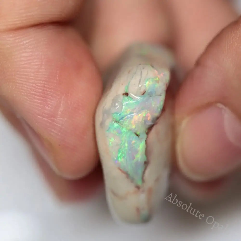 275.80 Cts Australian Lightning Ridge Rough Opal Parcel