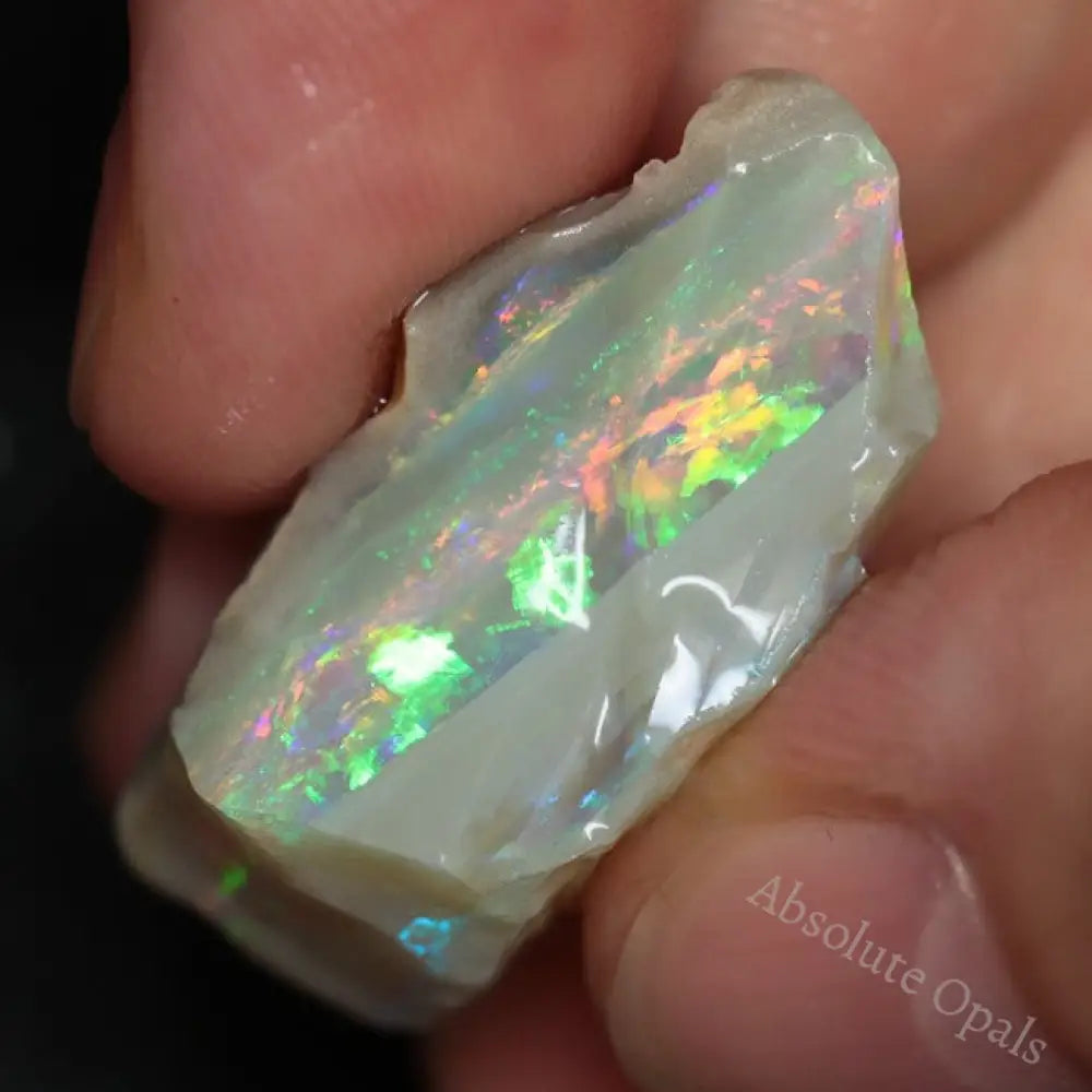 28.1 Cts Australian Lightning Ridge Rough Opal