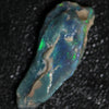 Wood Fossil opal