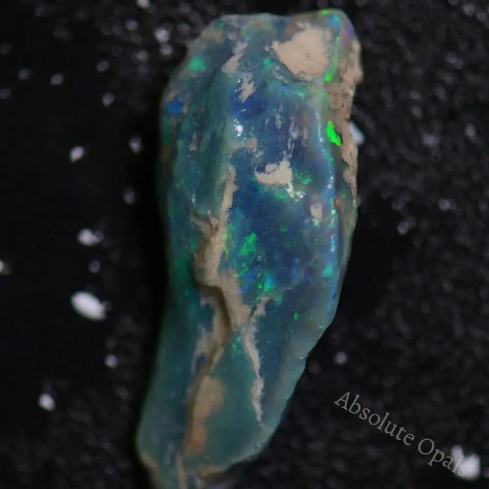 Opal Fossils