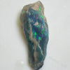 fossil opal lightning ridge