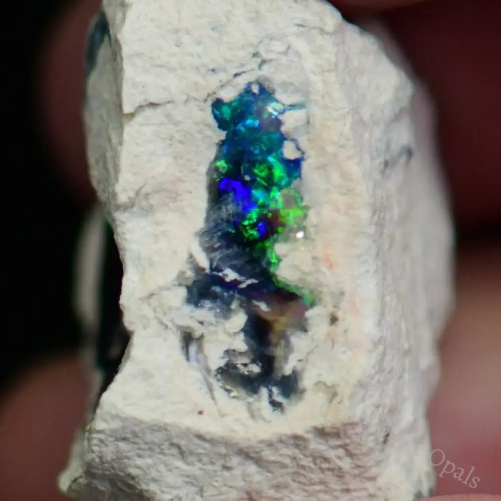 Australian Opal Rough Lightning Ridge Specimen