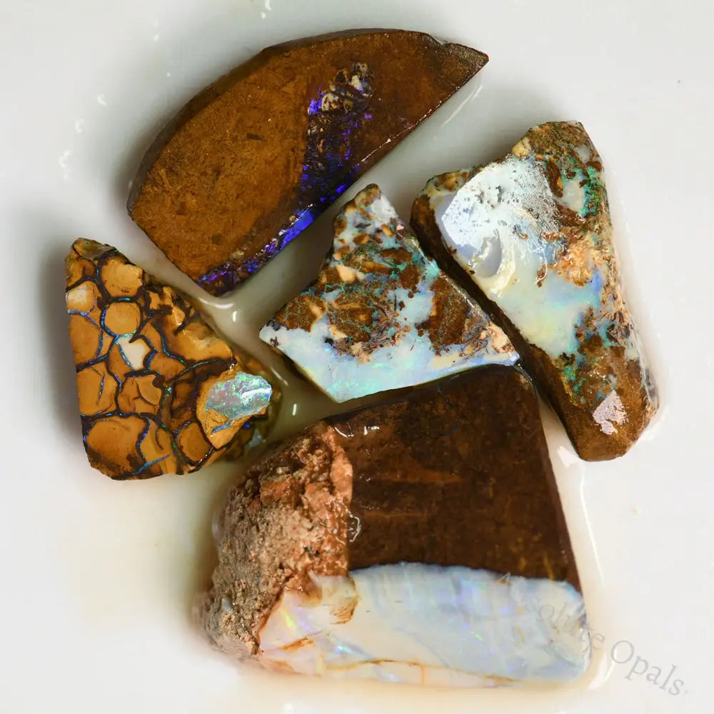 Australian Boulder Opal Rough Parcel