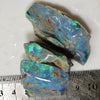 Fossils Opal