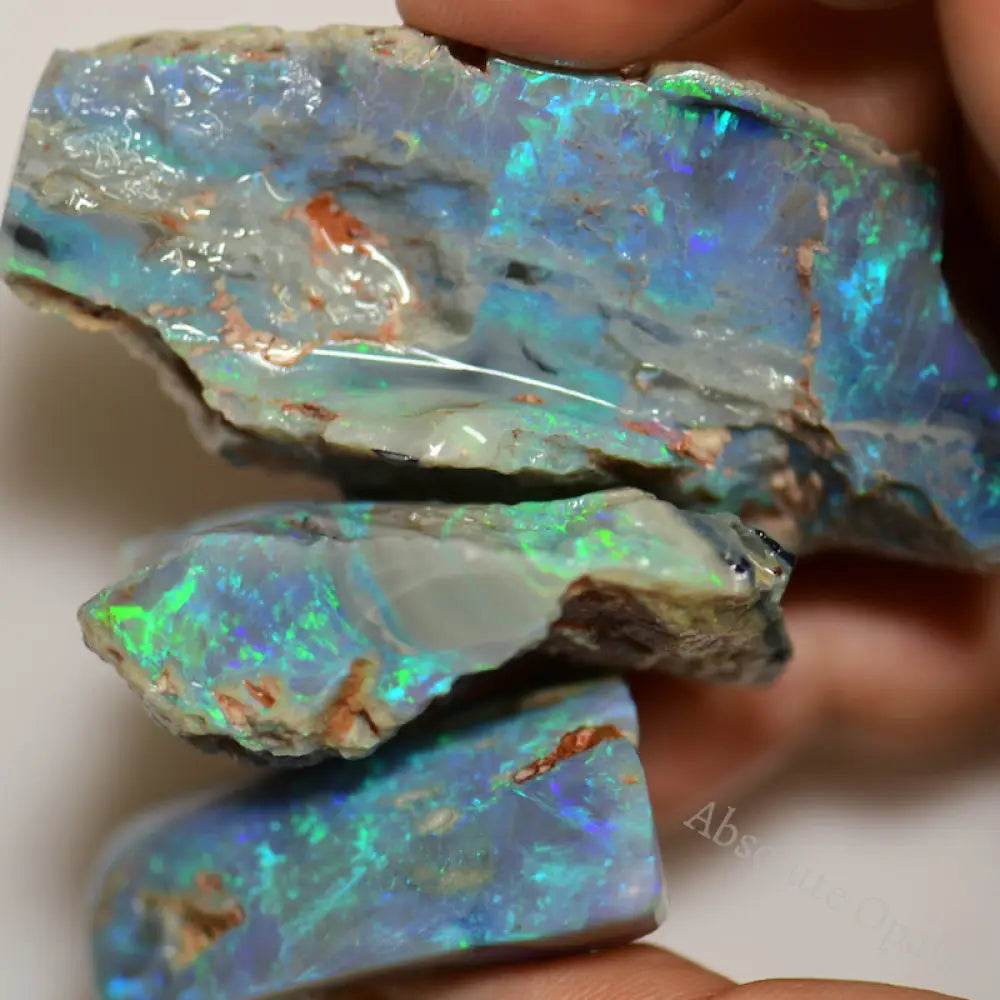 284.0 Cts Australian Rough Fossils Opal Parcel Lightning Ridge