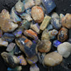 285 cts  Australian Rough Fossils Opal Collection Lightning Ridge -Shell &amp; Plant