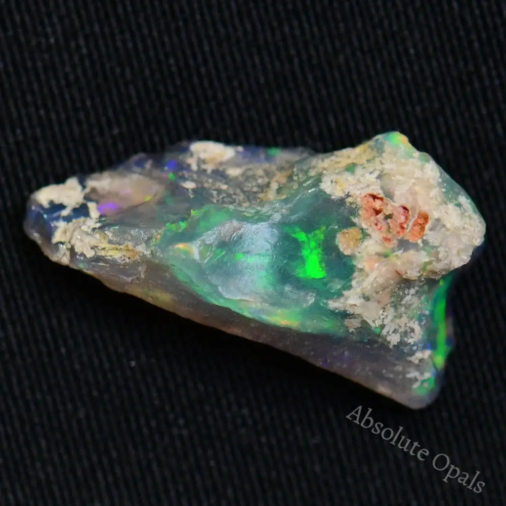 Australian Opal Rough, Lightning Ridge Fossil, Polished Specimen