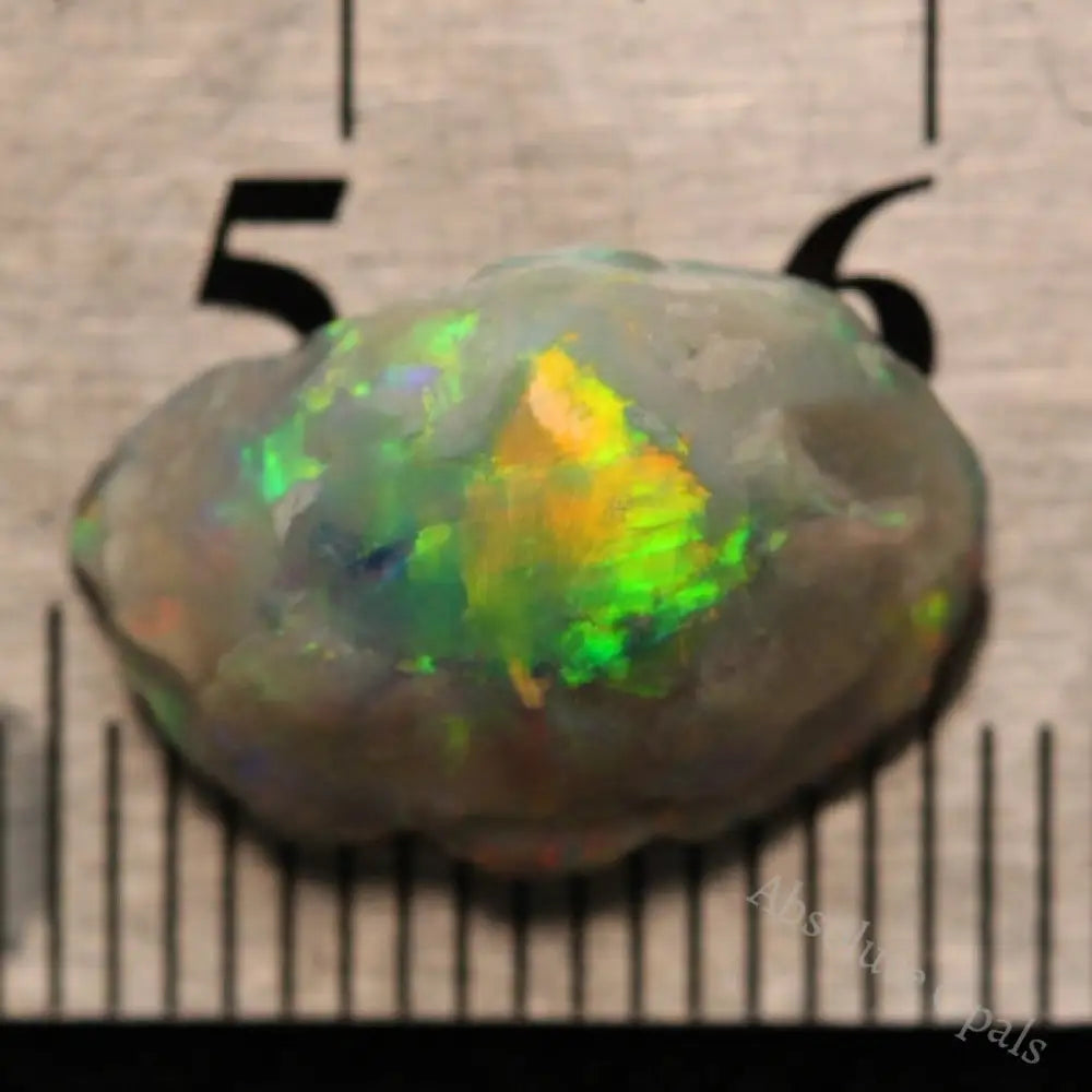 3.72 Cts Single Opal Rough Rub 15.3X10.6X5.6Mm