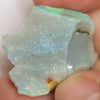 31.95 Cts Australian Lightning Ridge Opal Rough For Carving