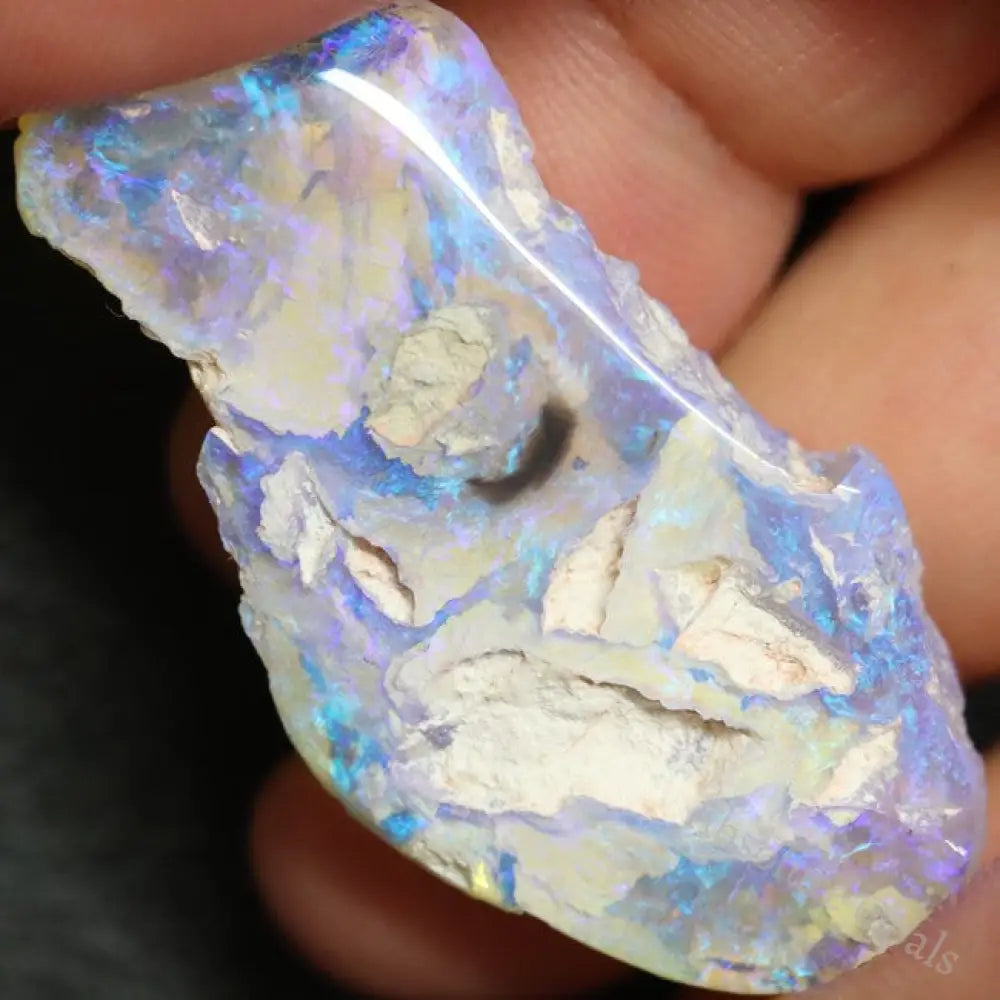 32.65 Cts Australian Semi Black Opal Rough Lightning Ridge Polished Specimen