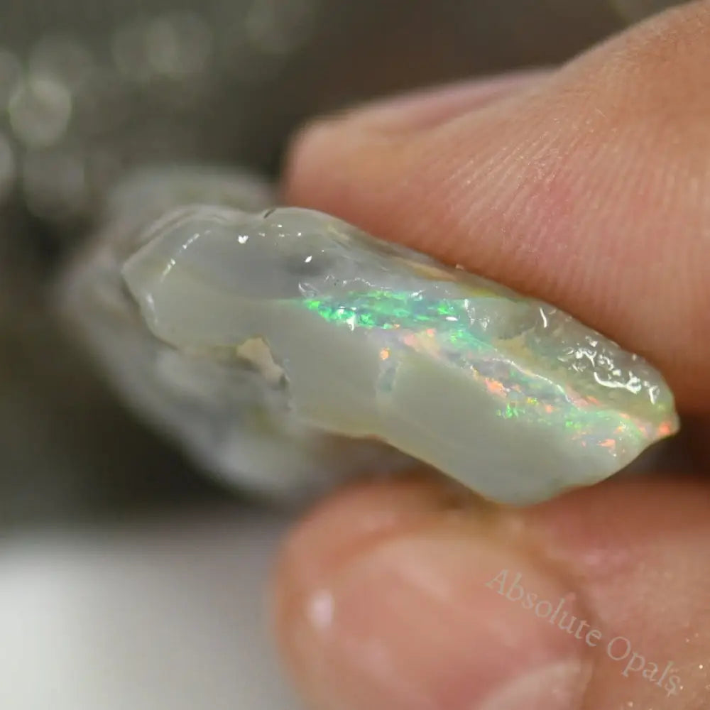 Single Opal Rough for Carving