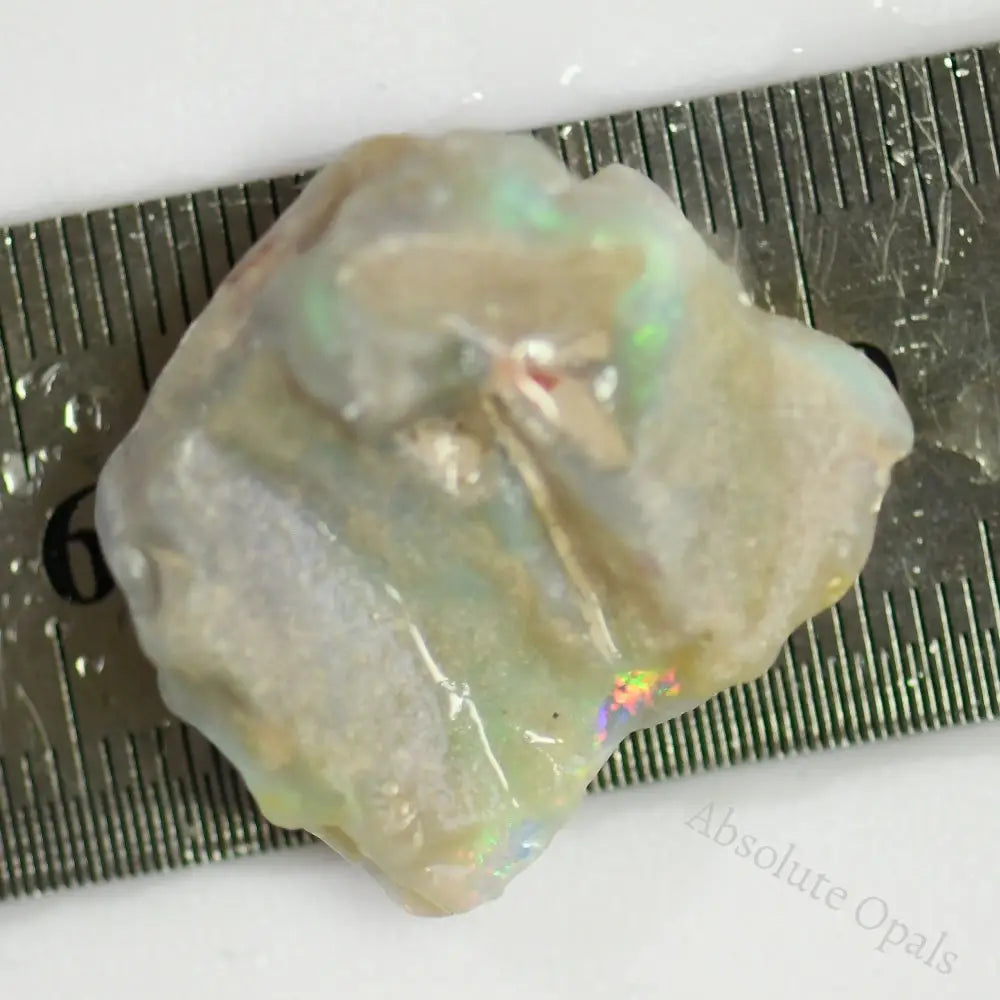 32.95 Cts Australian Rough Opal Lightning Ridge For Carving