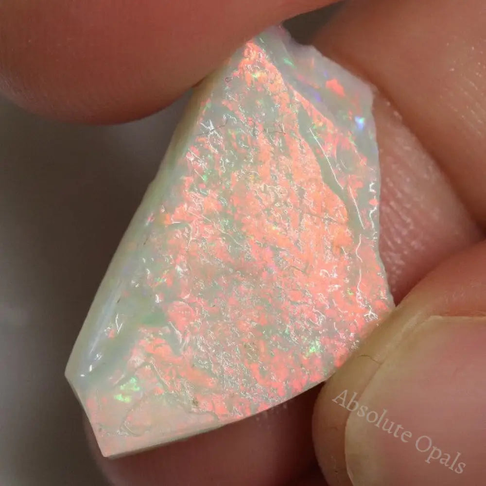 33.4 Cts Opal Rough Parcel Gem Stones 11.8-26.0X13.5-16.6X5.1-8.0Mm